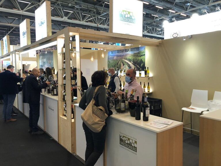 Valdeorras presenta en Vinexpo París 25 referencias de sus emblemáticos vinos 41 DO Valdeorras presenta sus vinos mas representativos en Vinexpo Paris