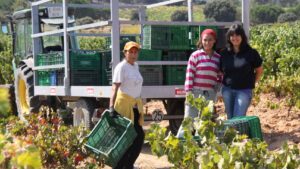Descubre 7 etiquetas de vino en honor a las mujeres
