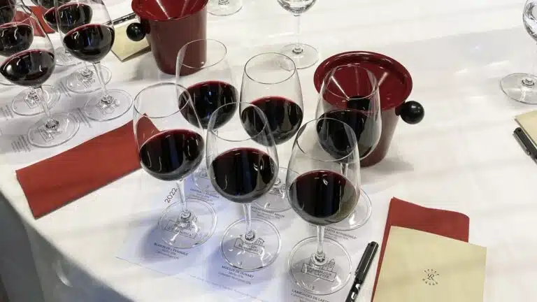 Descubre cómo degustar un vino correctamente según iDealwine