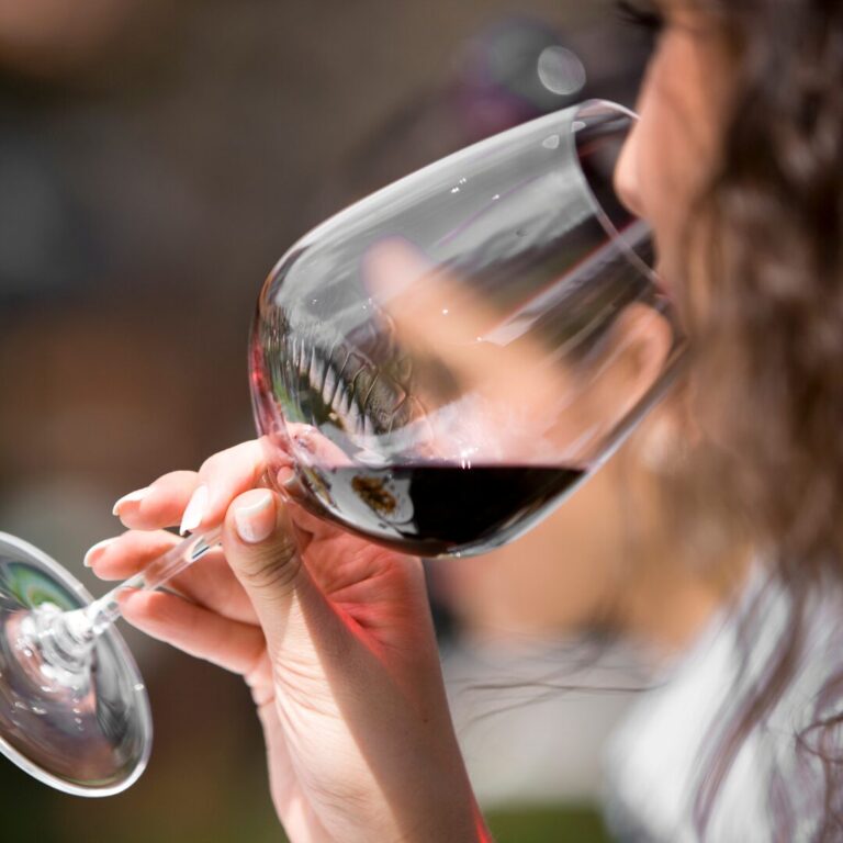 Descubre cómo disfrutar del vino: desde la elección hasta la degustación 16 Descubre como disfrutar del vino desde la eleccion hasta la