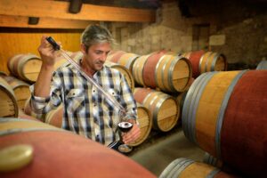 Descubre las distintas formaciones para acceder al mundo del vino