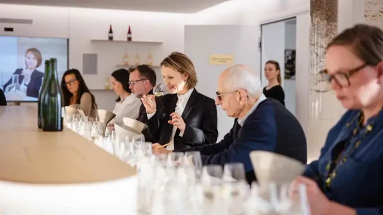 Descubre los ‘vins clairs’ el secreto detrás de la creación del champán