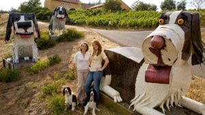 Descubriendo La Masia el chardonnay de California que conserva su