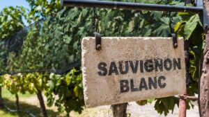 Descubriendo la interpretacion mas pura y personal de la sauvignon