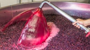 Descubriendo los secretos de las técnicas de vinificación: pigeage, remontage y délestage 13 Descubriendo los secretos de las tecnicas de vinificacion pigeage remontage