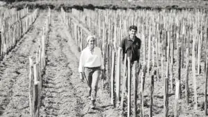 Domaine Terre de l’Elu, ejemplo de éxito en vinos biológicos de calidad en Anjou