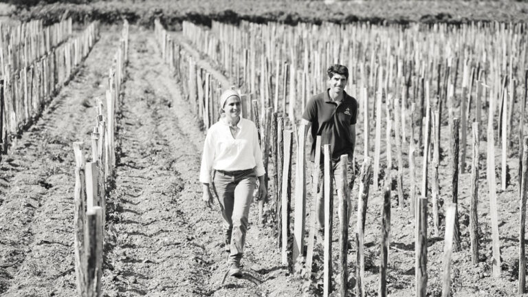 Domaine Terre de l'Elu, ejemplo de éxito en vinos biológicos de calidad en Anjou 29 Domaine Terre de lElu ejemplo de exito en vinos biologicos