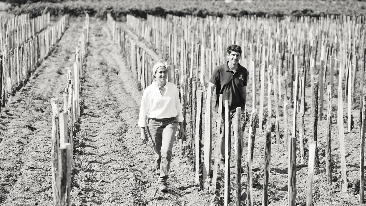 Domaine Terre de l'Elu, ejemplo de éxito en vinos biológicos de calidad en Anjou 1 Domaine Terre de lElu ejemplo de exito en vinos biologicos