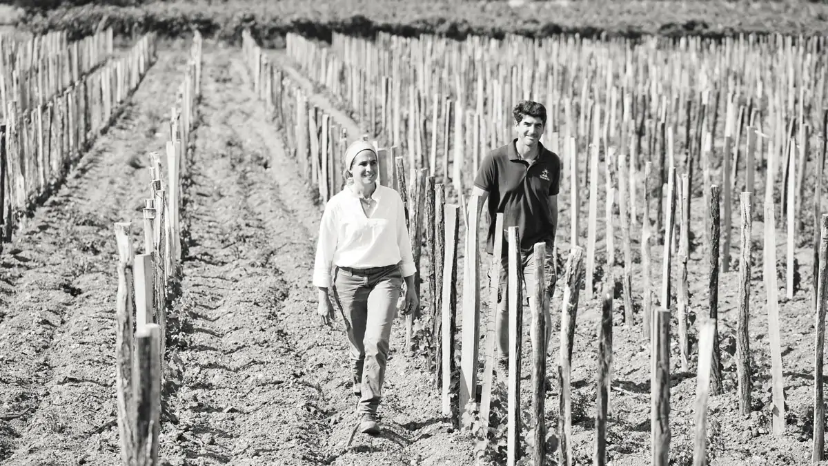 Domaine Terre de l’Elu, ejemplo de éxito en vinos biológicos de calidad en Anjou