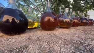 El Priorat desvela preciadas joyas envejecidas durante anos en damajuanas