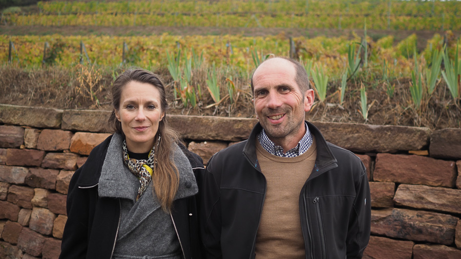 Emile Beyer, productor excepcional de vinos en Eguisheim, Alsacia, destaca por su innovación y tradición 1 Emile Beyer productor excepcional de vinos en Eguisheim Alsacia destaca