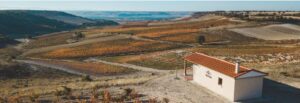 Enoturismo en Emilio Moro crece un 28 con 13000 visitantes