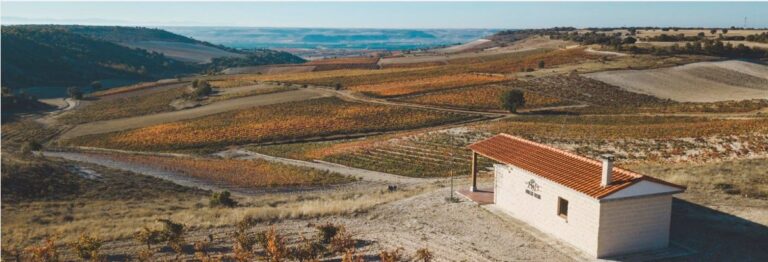 Enoturismo en Emilio Moro crece un 28 con 13000 visitantes
