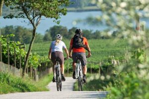 ¿Qué es el enoturismo? El viaje que transforma paisajes en sabores y cultura 10 enoturismo