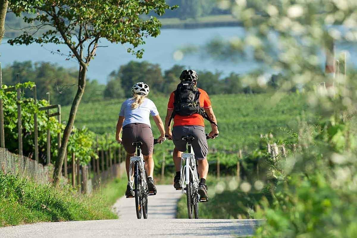 ¿Qué es el enoturismo? El viaje que transforma paisajes en sabores y cultura 1 enoturismo