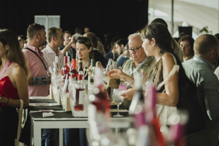 Éxito del DO Day en Valencia: mejores vinos de Utiel-Requena presentados a restauradores 23 Exitoso evento de vinos blancos y rosados en la Marina