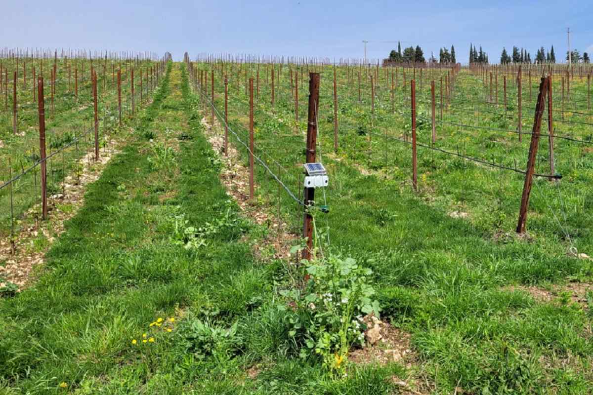 Generali y 3Bee lanzan proyecto para monitorear biodiversidad en terrenos agrícolas 1 Generali y 3Bee lanzan proyecto para monitorear biodiversidad en terrenos