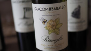 Giacomo Baraldo: revolución del vino en Toscana con fermentación de viñedo en parcelas 12 Giacomo Baraldo revolucion del vino en Toscana con fermentacion de