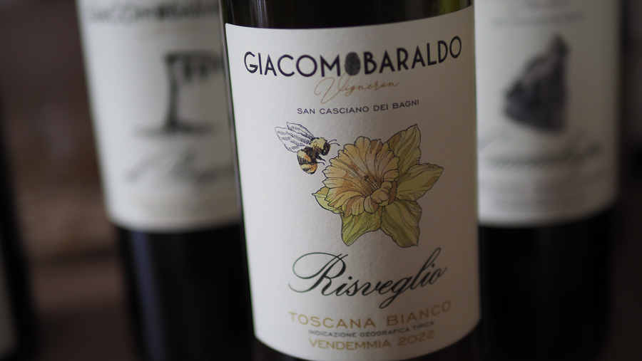 Giacomo Baraldo: revolución del vino en Toscana con fermentación de viñedo en parcelas 1 Giacomo Baraldo revolucion del vino en Toscana con fermentacion de