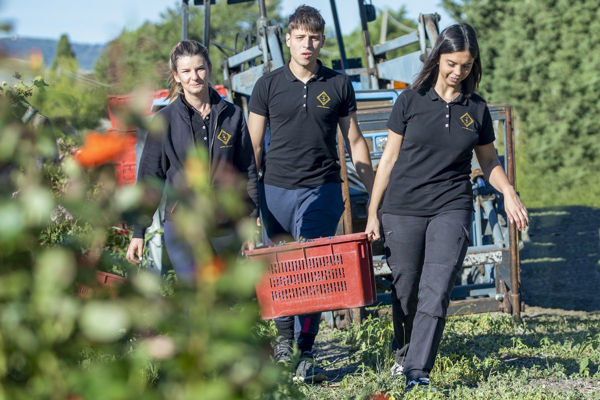 Gianni Moscardini, innovador vitivinícola en la Alta Maremma toscana 1 Gianni Moscardini innovador vitivinicola en la Alta Maremma toscana