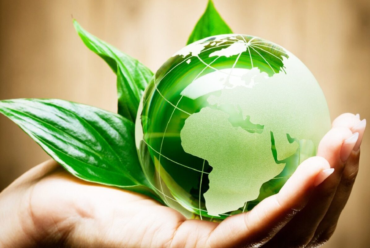 La exportación de productos orgánicos italianos sube un 8% en 2023 1 La exportacion de productos organicos italianos sube un 8 en