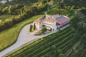 Masi Agricola aprueba el proyecto de sostenibilidad Masi Green Governance