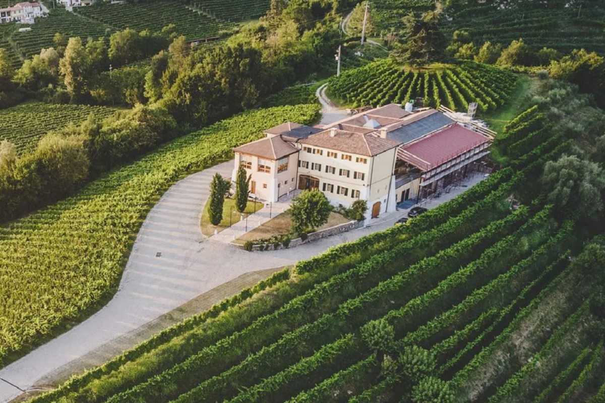 Masi Agricola aprueba el proyecto de sostenibilidad Masi Green Governance 1 Masi Agricola aprueba el proyecto de sostenibilidad Masi Green Governance
