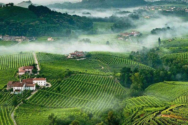 Medalla de Arquitectura del Vino galardon italiano para valorar paisajes