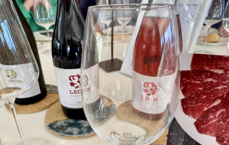 Nueve bodegas de DO Leon presentaran sus vinos en feria