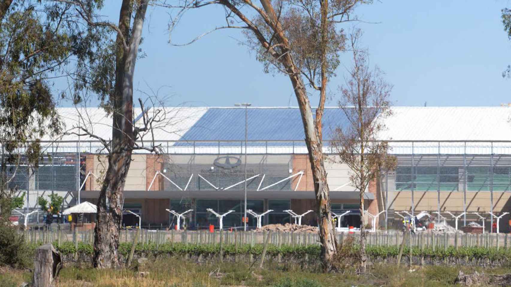 Aeropuerto único en su tipo cultiva viñedo propio y produce vino exclusivo llamado Destino 1 Nuevo en noticias Aeropuerto unico en su tipo cultiva vinedo