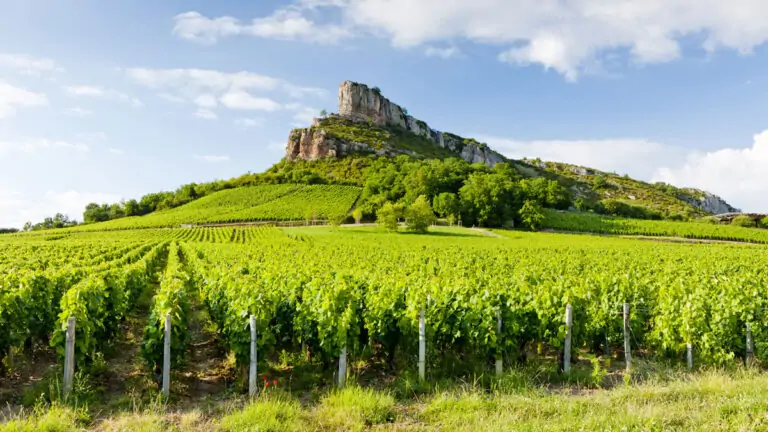 Precio récord: botella de vino blanco de Guffens-Heynen alcanza los 1000€
