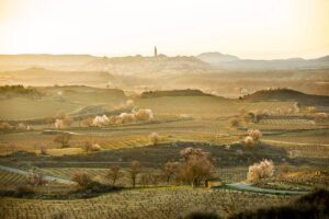 Proteccion del paisaje de Rioja alcanza punto de inflexion celebra