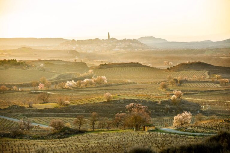 Proteccion del paisaje de Rioja alcanza punto de inflexion celebra