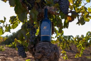 Sorprende en el Día del Padre con experiencias únicas y buen vino 6 Sorprende en el Dia del Padre con experiencias unicas y