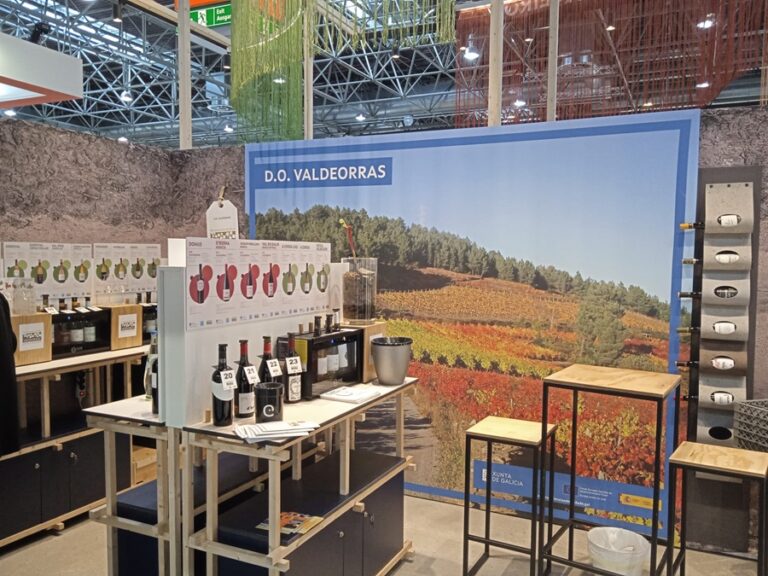 Valdeorras presentará 27 vinos en prestigiosa feria Prowein 2024 en Alemania 15 Valdeorras presentara 27 vinos en prestigiosa feria Prowein 2024 en