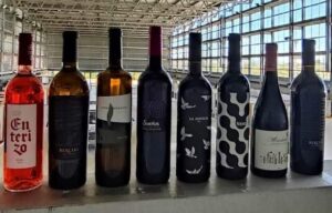 Vinos Utiel Requena triunfan en la 31a edicion de la