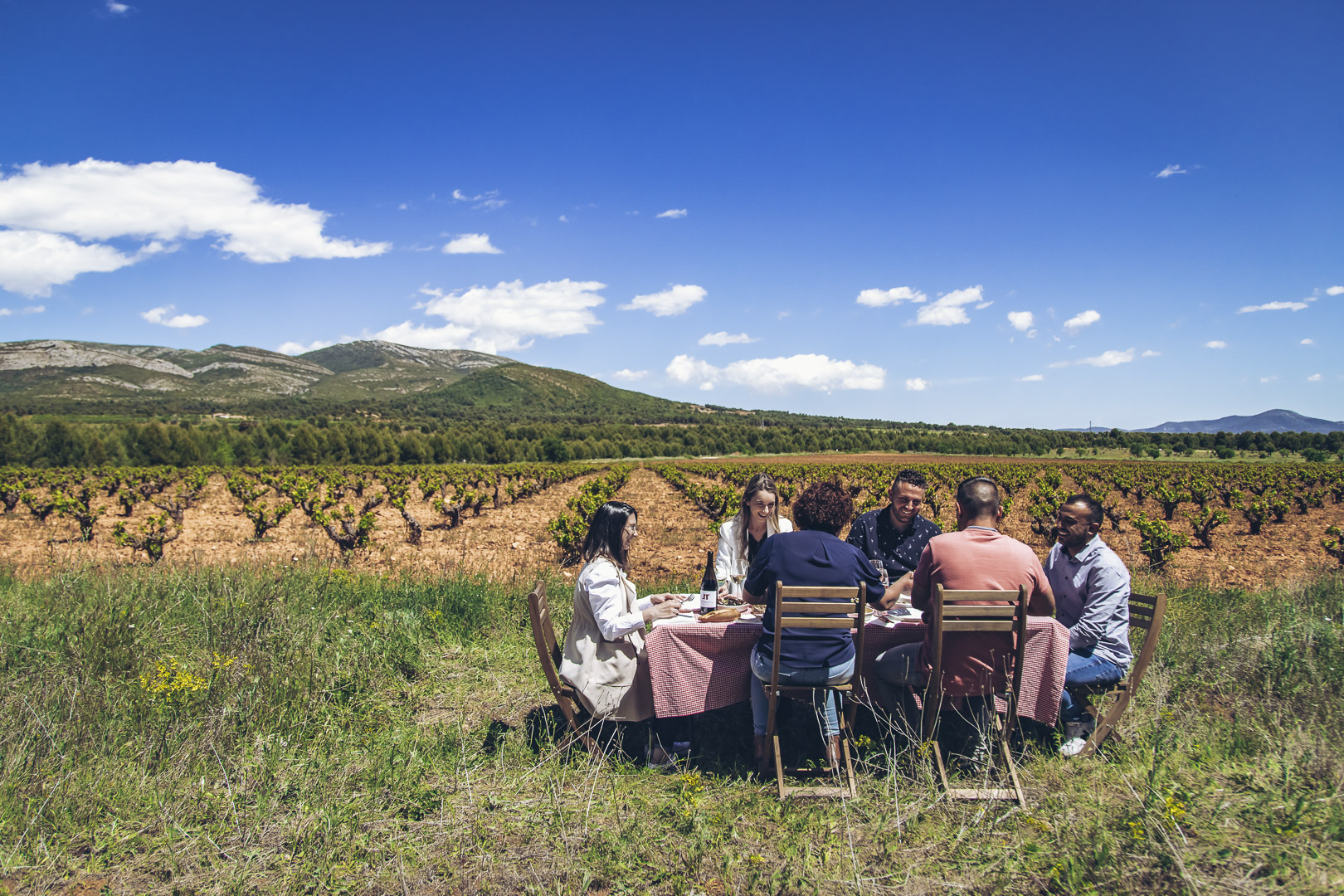 Guía para elegir el vino perfecto para tus barbacoas de verano 1 Vinos perfectos para realzar tu barbacoa con amigos este verano