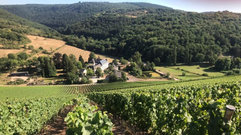 Visita a Egon Müller desvela excepcionalidades del dominio vinícola alemán 16 Visita a Egon Muller desvela excepcionalidades del dominio vinicola aleman