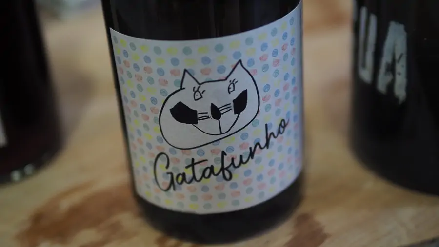 André Lourenço lanza Gardunha Sol, proyecto de vinos de alta calidad en Beira Interior