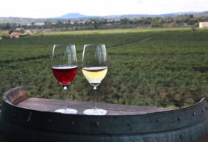Aumenta un 27 la facturacion de vinos con marca de