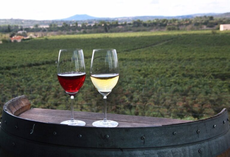 Aumenta un 2,7% la facturación de vinos con marca de calidad balear en 2023 53 Aumenta un 27 la facturacion de vinos con marca de