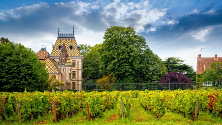 Bordeaux 2021, un año difícil produjo vinos blancos excepcionales 32 Bordeaux 2021 un ano dificil produjo vinos blancos excepcionales