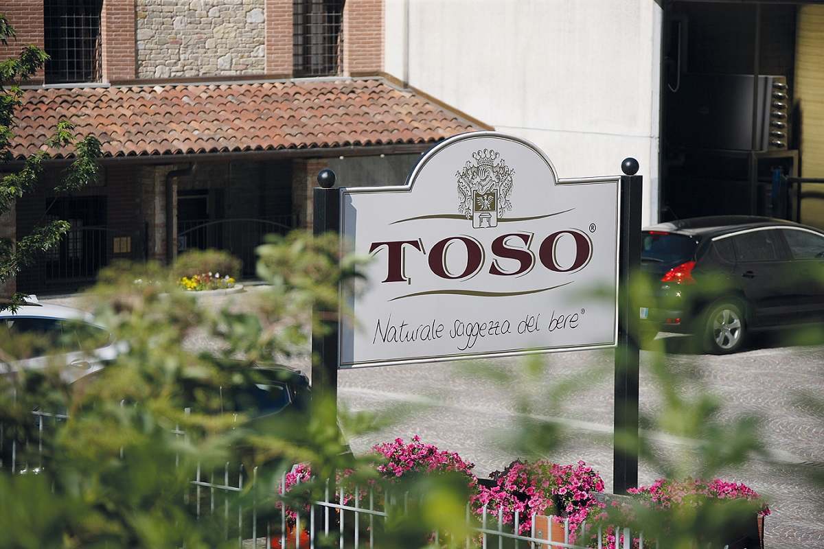 Cantine Toso: Crecimiento del 25% y 45 millones de euros de facturación en 2023 1 Cantine Toso Crecimiento del 25 y 45 millones de euros