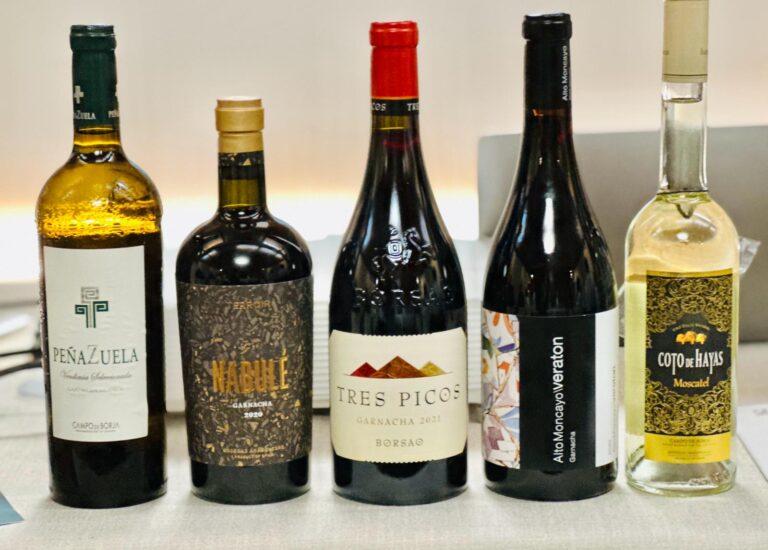 Cata exclusiva de Garnachas Históricas Project en La Nueva Karambola para asesores fiscales 49 Cata exclusiva de Garnachas Historicas Project en La Nueva Karambola
