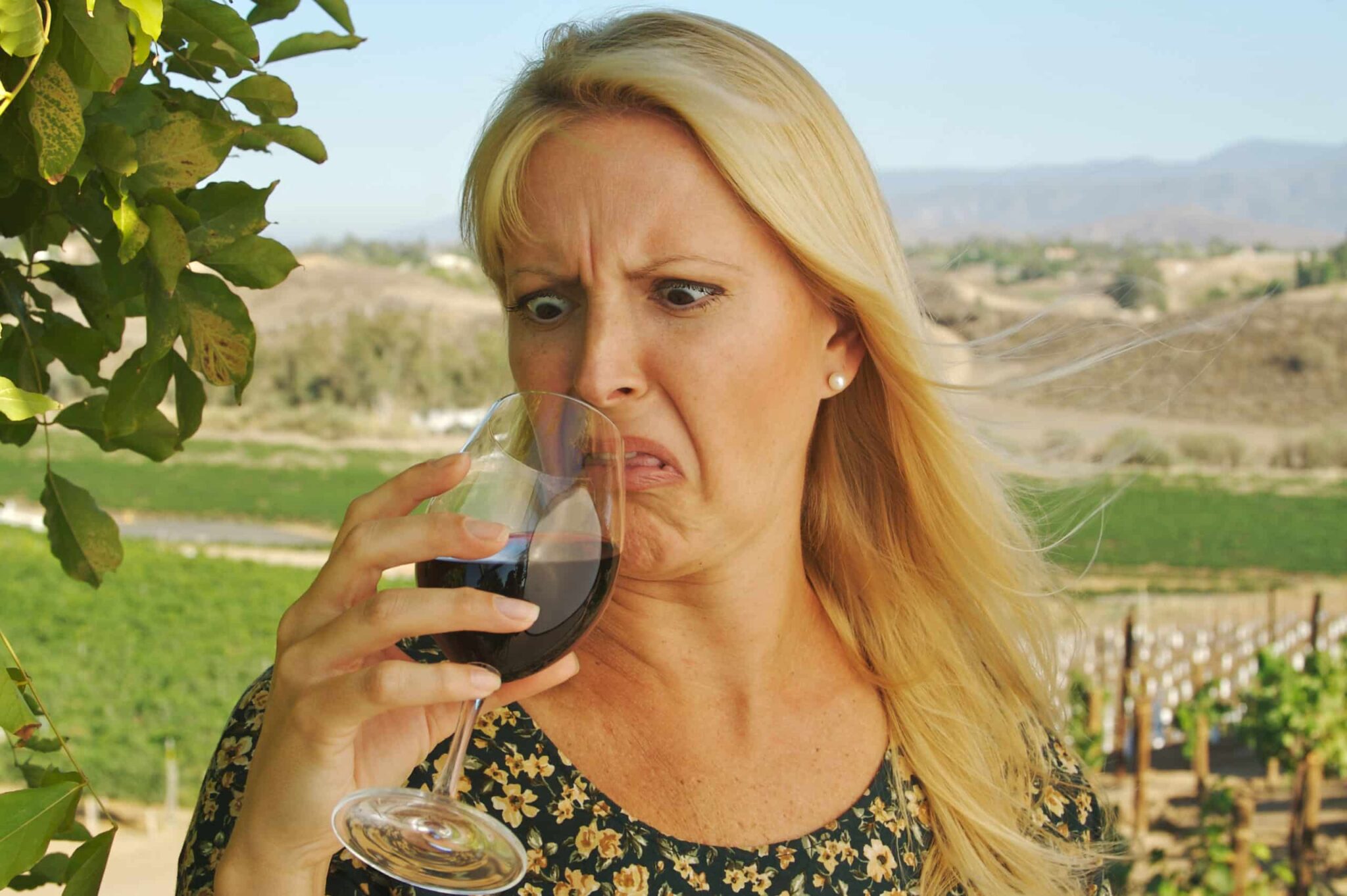 Cómo evitar que el corcho altere el sabor de tu vino según vinícolas expertos 1 Como evitar que el corcho altere el sabor de tu scaled