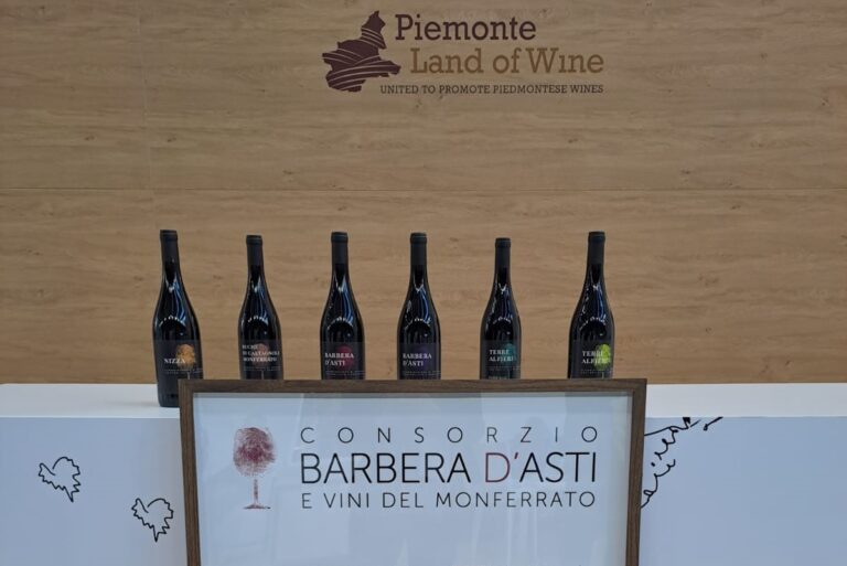 Consorzio Barbera d’Asti y Vini del Monferrato innova con nuevas etiquetas 19 Consorzio Barbera dAsti y Vini del Monferrato innova con nuevas