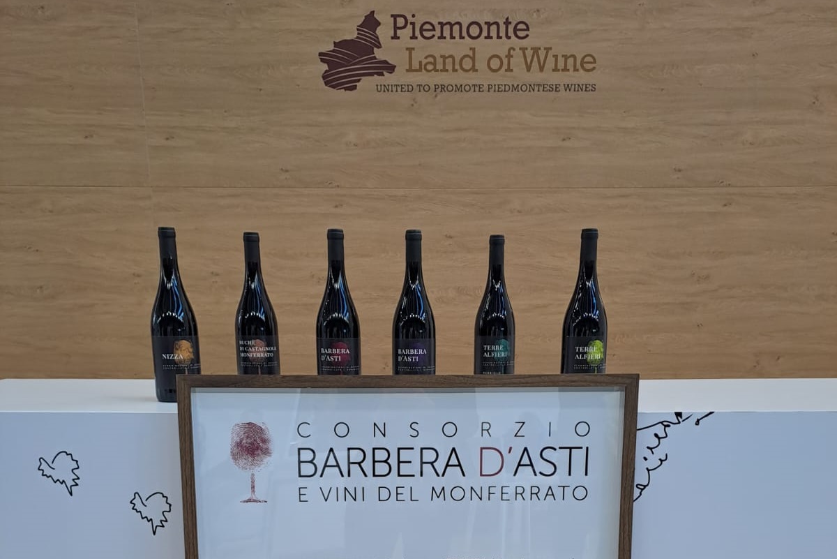 Consorzio Barbera d’Asti y Vini del Monferrato innova con nuevas etiquetas 1 Consorzio Barbera dAsti y Vini del Monferrato innova con nuevas