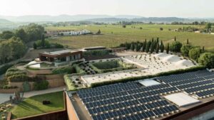 Descubre la bodega espanola mas admirada por expertos globales y