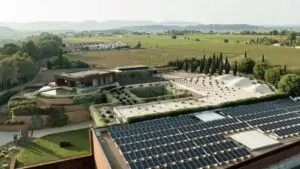 Descubre la bodega española más admirada por expertos globales y sus excepcionales vinos