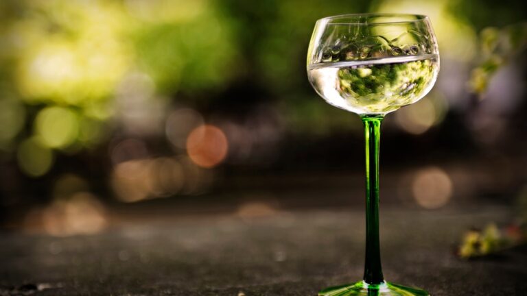 Descubre qué platos casan mejor con cada variedad de vino alsaciano 35 Descubre que platos casan mejor con cada variedad de vino